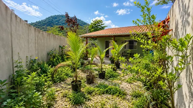 Quintal murado com palmeiras e a serra ao fundo