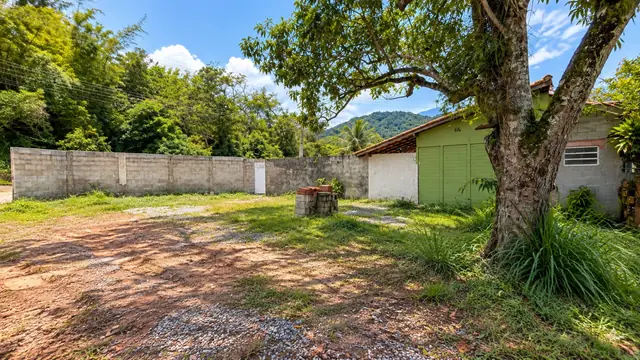 Terreno com árvore adulta e mureta de blocos