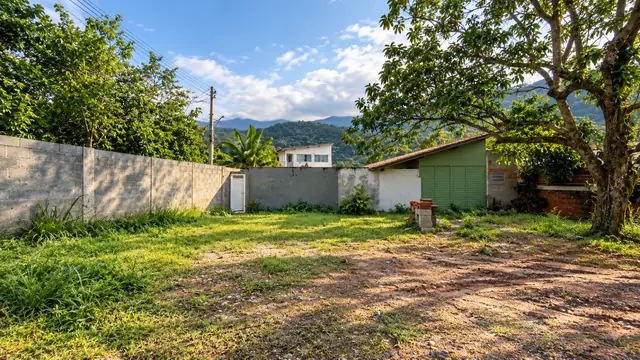 Área livre do terreno com árvore adulta