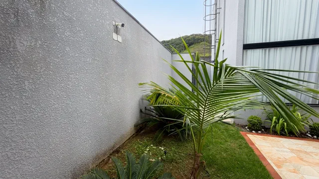 Jardim lateral do sobrado com plantas tropicais